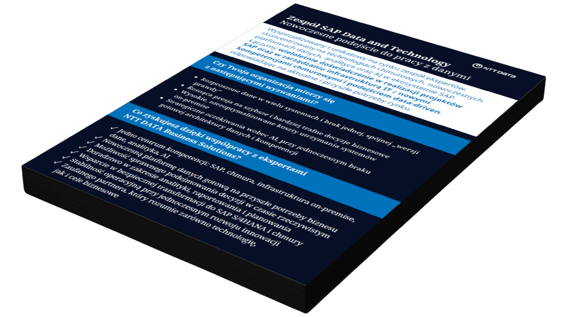 PL  SAP BDC_onepager_mockup_2